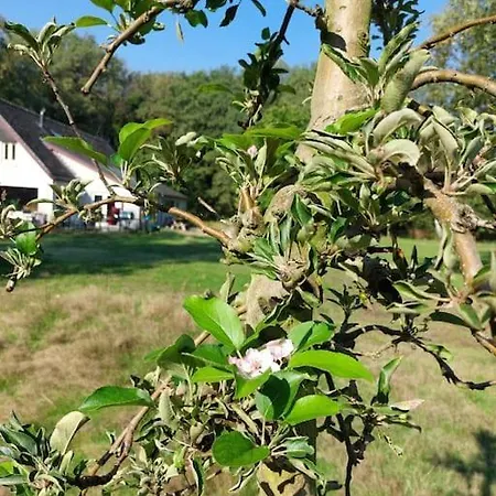 Op Ruim Een Hectare Prive Grond
