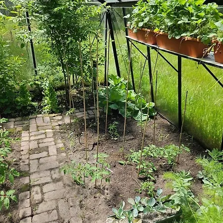 Villa Op Ruim Een Hectare Prive Grond *