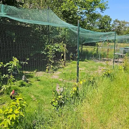 Villa Op Ruim Een Hectare Prive Grond Well (Limburg)